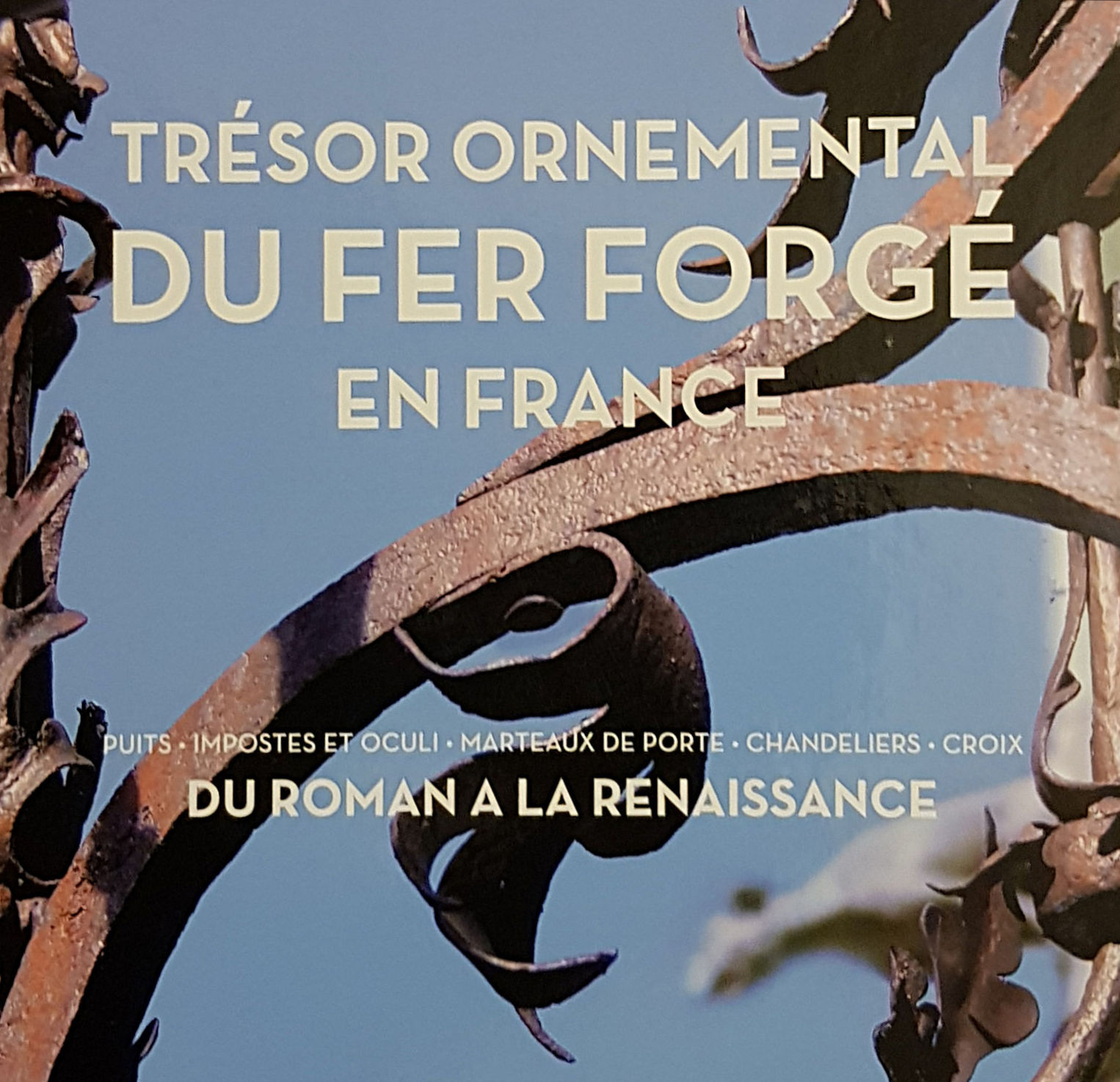 trésor ornemental du fer forgé en france
