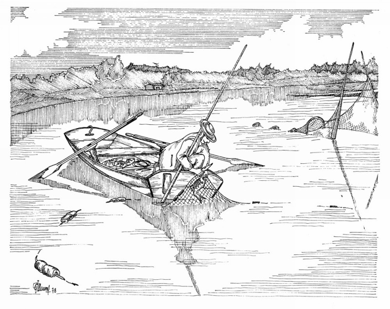 barque.jpg