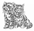 chatons.jpg
