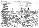 finlande.jpg